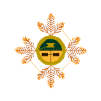 Illustration Wedding