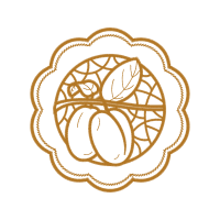 Illustration Wedding