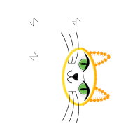 Illustration Wedding