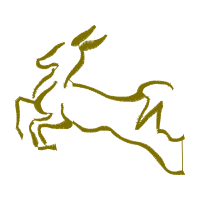 Illustration Wedding