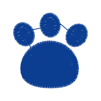 Illustration Wedding