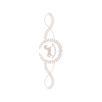 Illustration Wedding