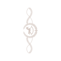 Illustration Wedding