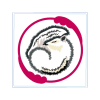 Illustration Wedding