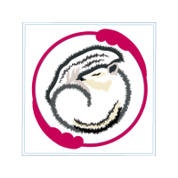 Illustration Wedding