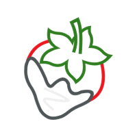 Illustration Wedding