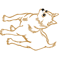 Illustration Wedding