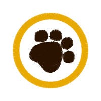 Illustration Wedding