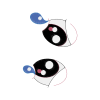 Illustration Wedding