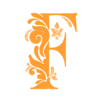 Illustration Wedding