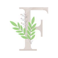 Illustration Wedding