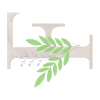 Illustration Wedding