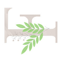 Illustration Wedding