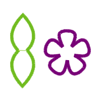 Illustration Wedding