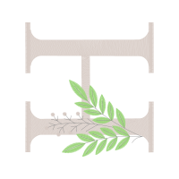 Illustration Wedding