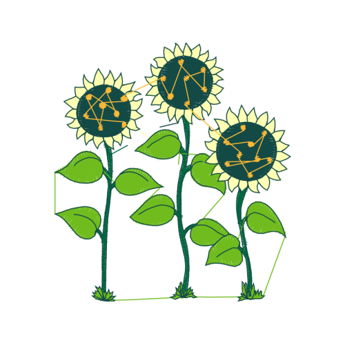 Illustration Wedding Illustration Wedding