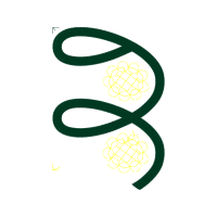 Illustration Wedding Illustration Wedding