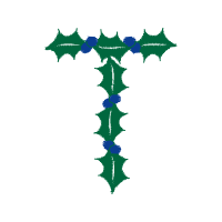 Illustration Wedding