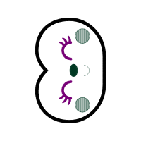 Illustration Wedding