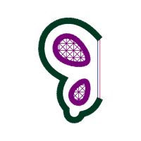 Illustration Wedding