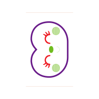 Illustration Wedding