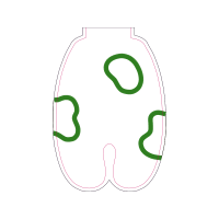 Illustration Wedding