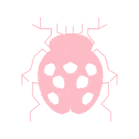 Illustration Wedding