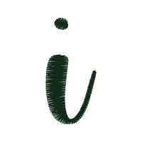 Illustration Wedding