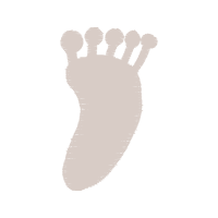 Illustration Wedding