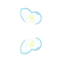 Illustration Wedding