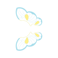 Illustration Wedding