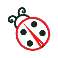 Illustration Wedding