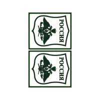 Illustration Wedding