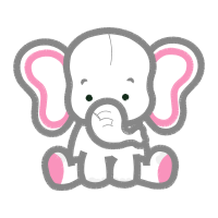 Indian Elephant Wedding