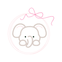 Indian Elephant Wedding