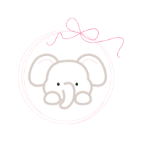 Indian Elephant Wedding