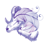 Line Art Wedding Line Art Wedding