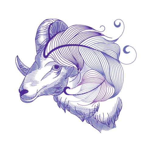 Line Art Wedding Line Art Wedding