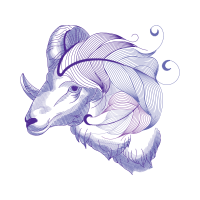 Line Art Wedding Line Art Wedding