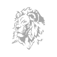 Lion Wedding Lion Wedding