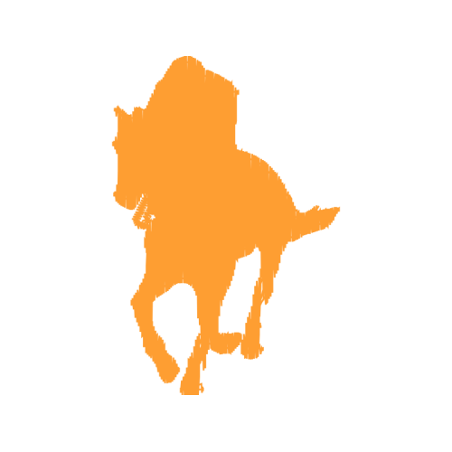 Lion Wedding Lion Wedding