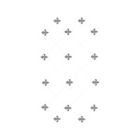 M 02Csf Wedding M 02Csf Wedding