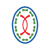 Mavic Cosmic S 42 Disc 700C Wheel Wedding