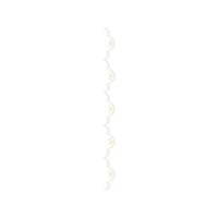 Meter Wedding Meter Wedding