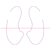Meter Wedding Meter Wedding