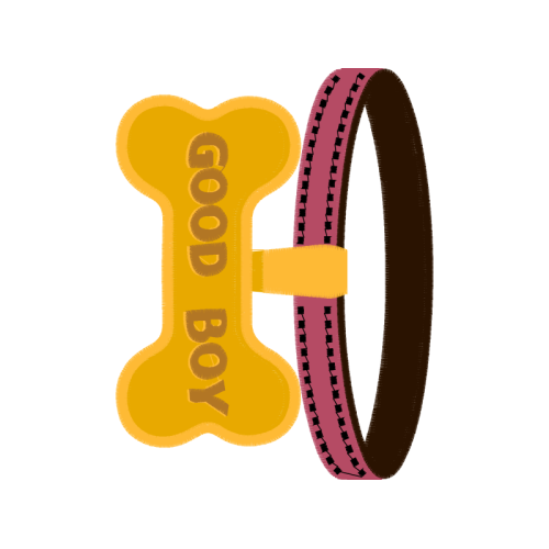 Meter Wedding Meter Wedding