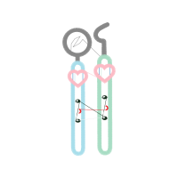 Meter Wedding Meter Wedding