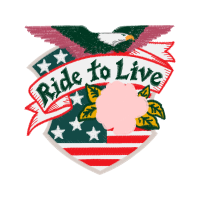 Meter Wedding Meter Wedding