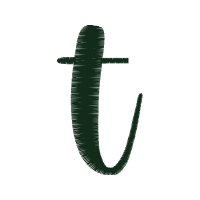 Meter Wedding Meter Wedding