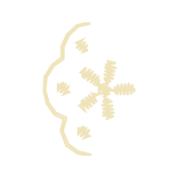 Meter Wedding Meter Wedding